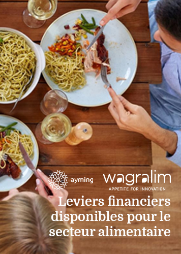 Cover image - Industrie agroalimentaire - webinaire Wagralim et Ayming